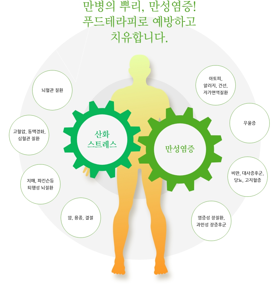 만성염증,산화스트레스| 만병의 뿌리, 만성염증! 푸드테라피로 예방하고 치유합니다.