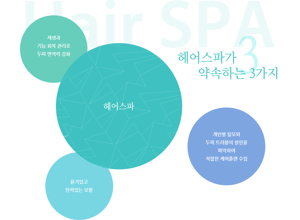 헤어스파가 약속하는 3가지. 재생과 기능 회복 관리로 두피 면역력 강화. 개인별 탈모와 두피 트러블의 원인을 파악하여 적합한 케어플랜 수립. 윤기있고 탄력있는 모발.